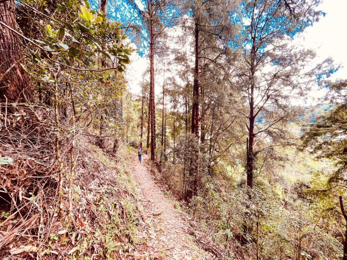 Notre Dame D'Arcadia Hotel Nuwara Eliya Ngoại thất bức ảnh
