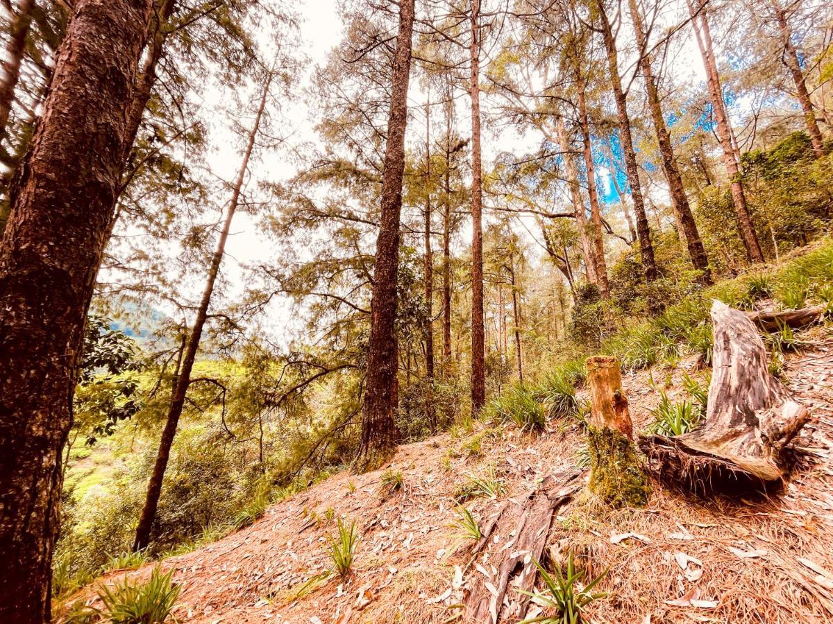 Notre Dame D'Arcadia Hotel Nuwara Eliya Ngoại thất bức ảnh